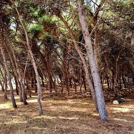 Le Di Pat - Casa Marea Ferienhaus *